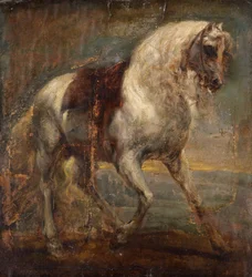 Un cavallo grigio